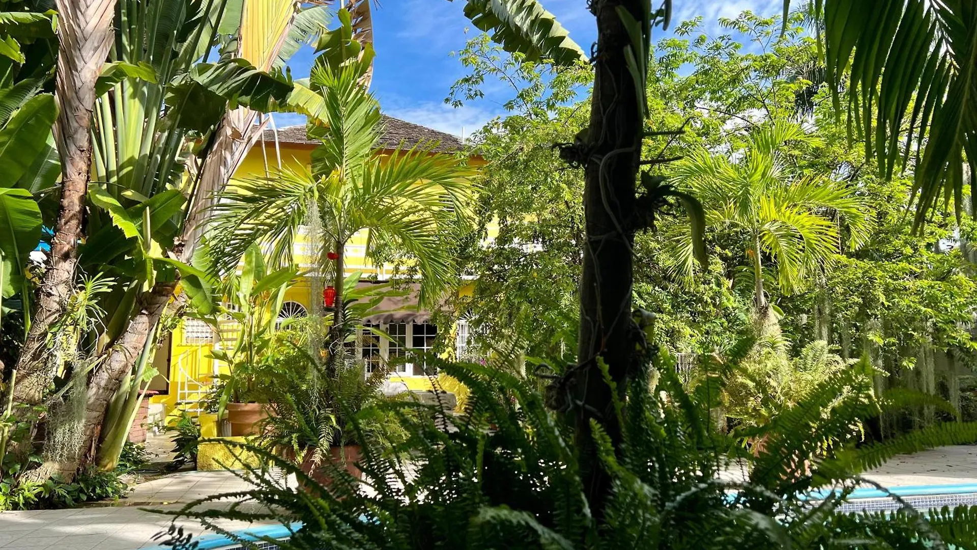 Orchid Cottage Kingston Guest house