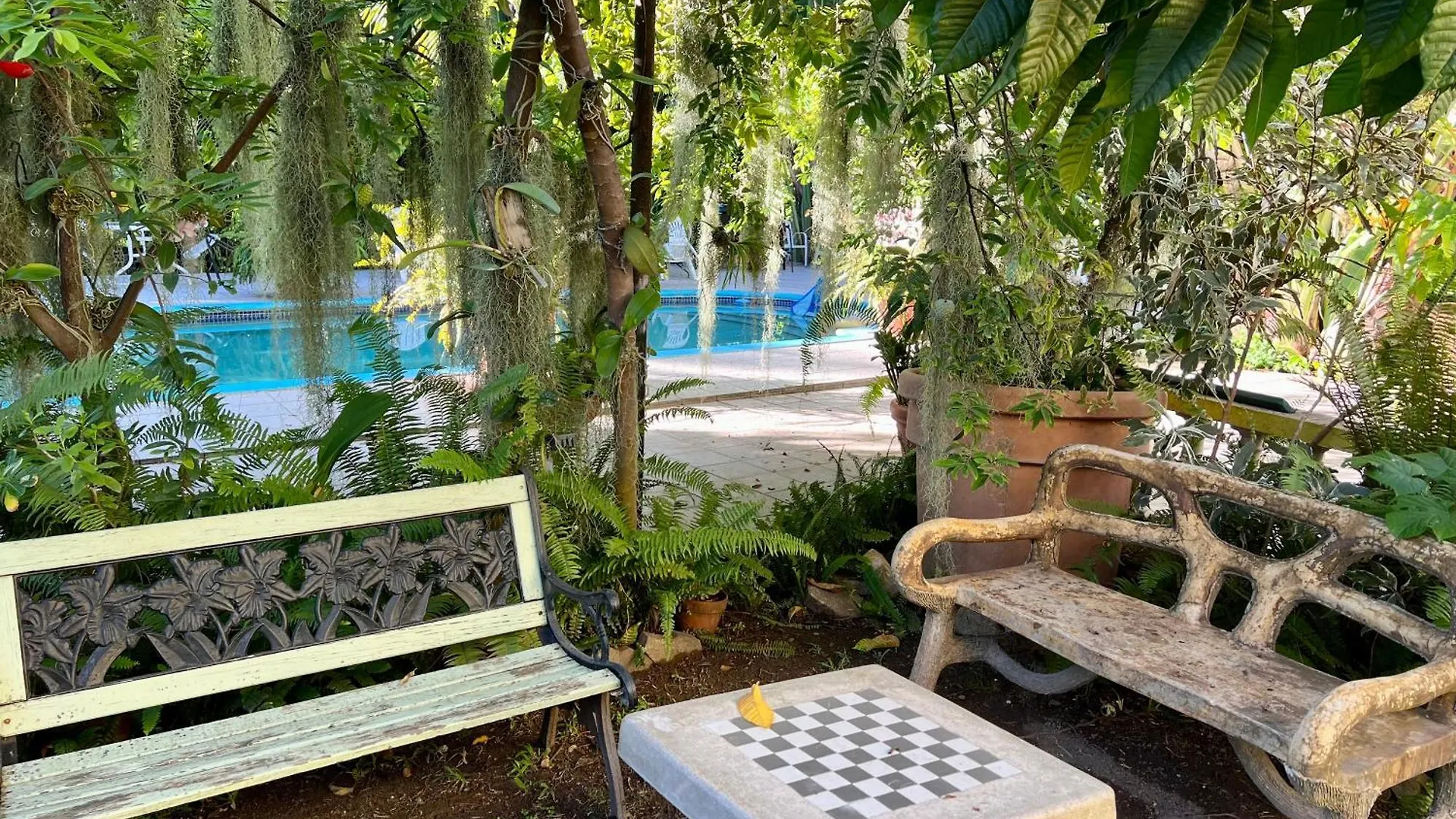 Guest house Orchid Cottage Kingston