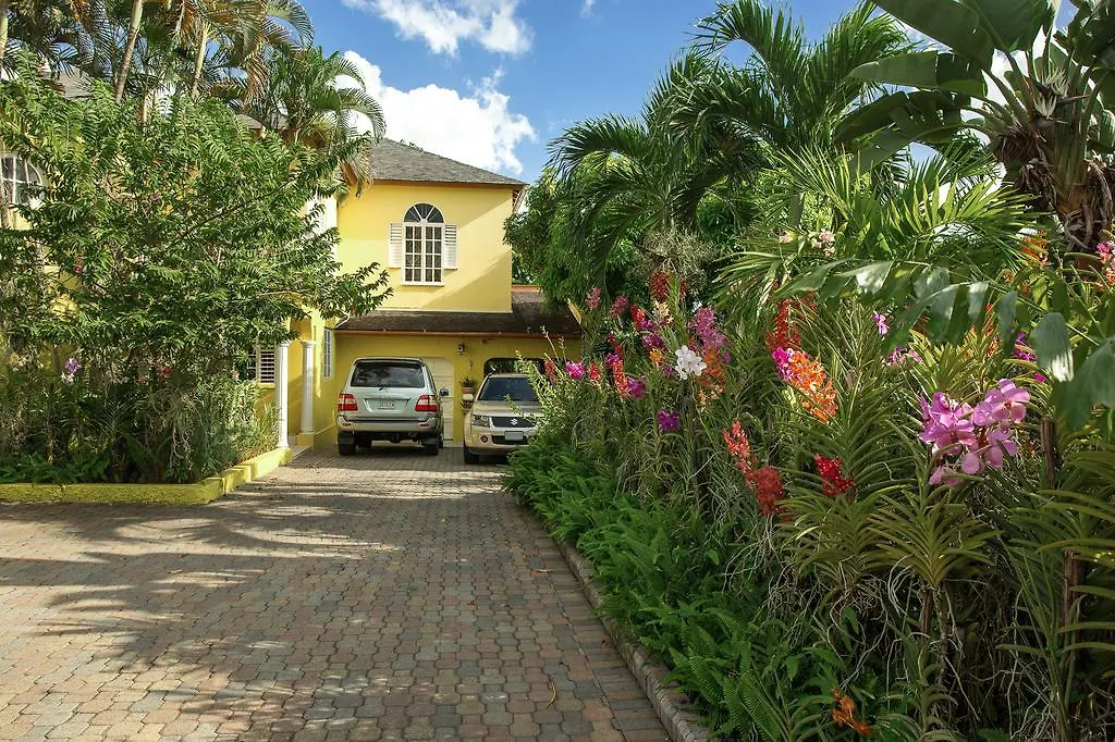 Orchid Cottage Kingston Guest house