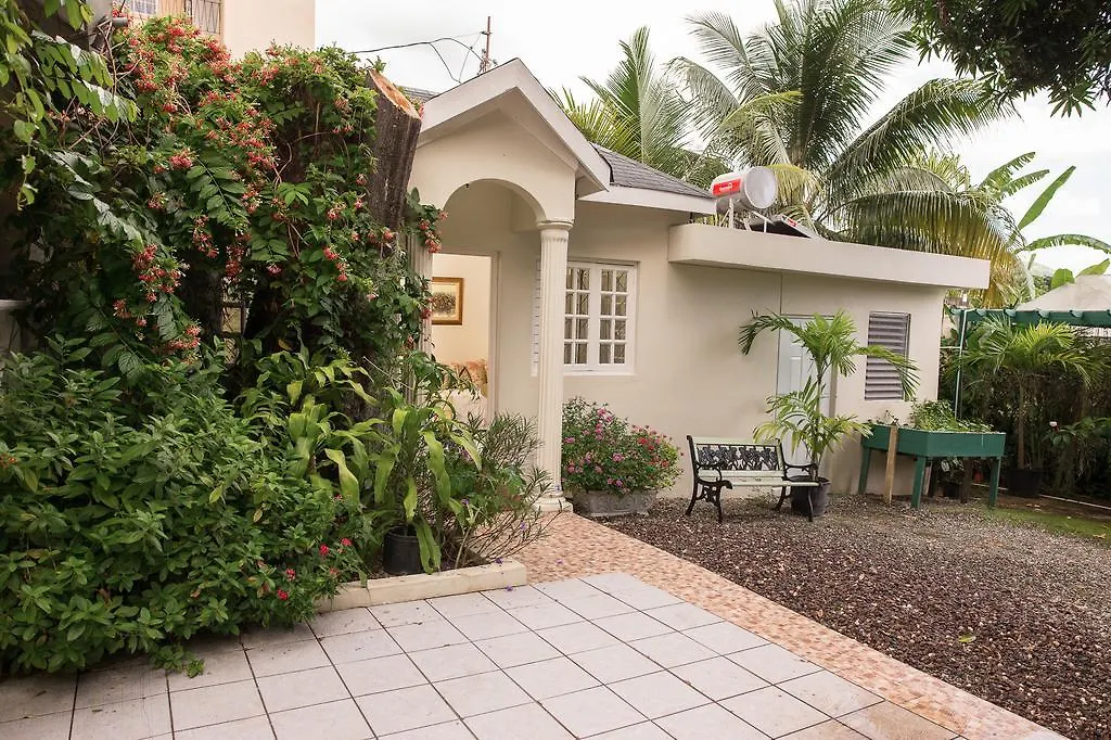 Orchid Cottage Kingston