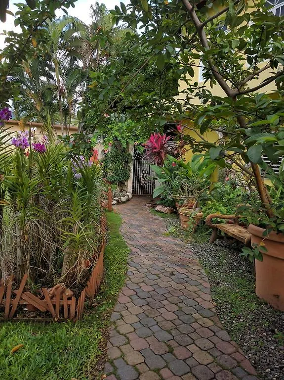 Orchid Cottage Kingston Guest house