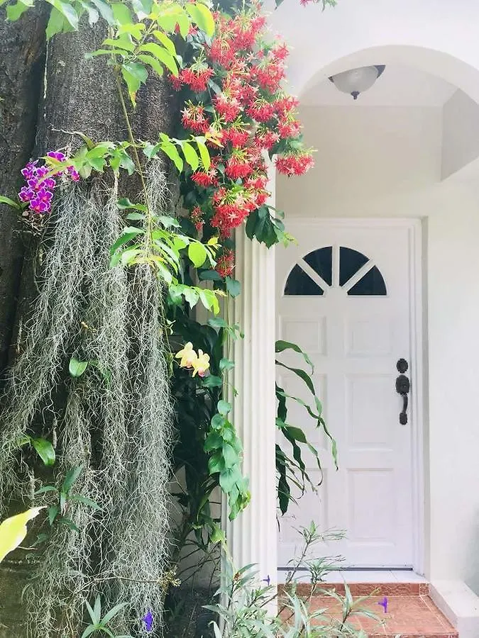 Guest house Orchid Cottage Kingston
