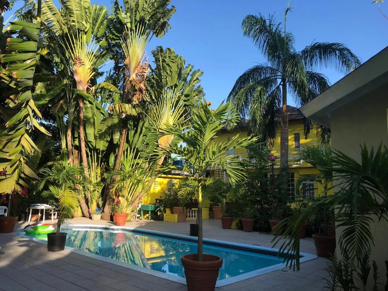 ** Guest house Orchid Cottage Kingston Jamaica