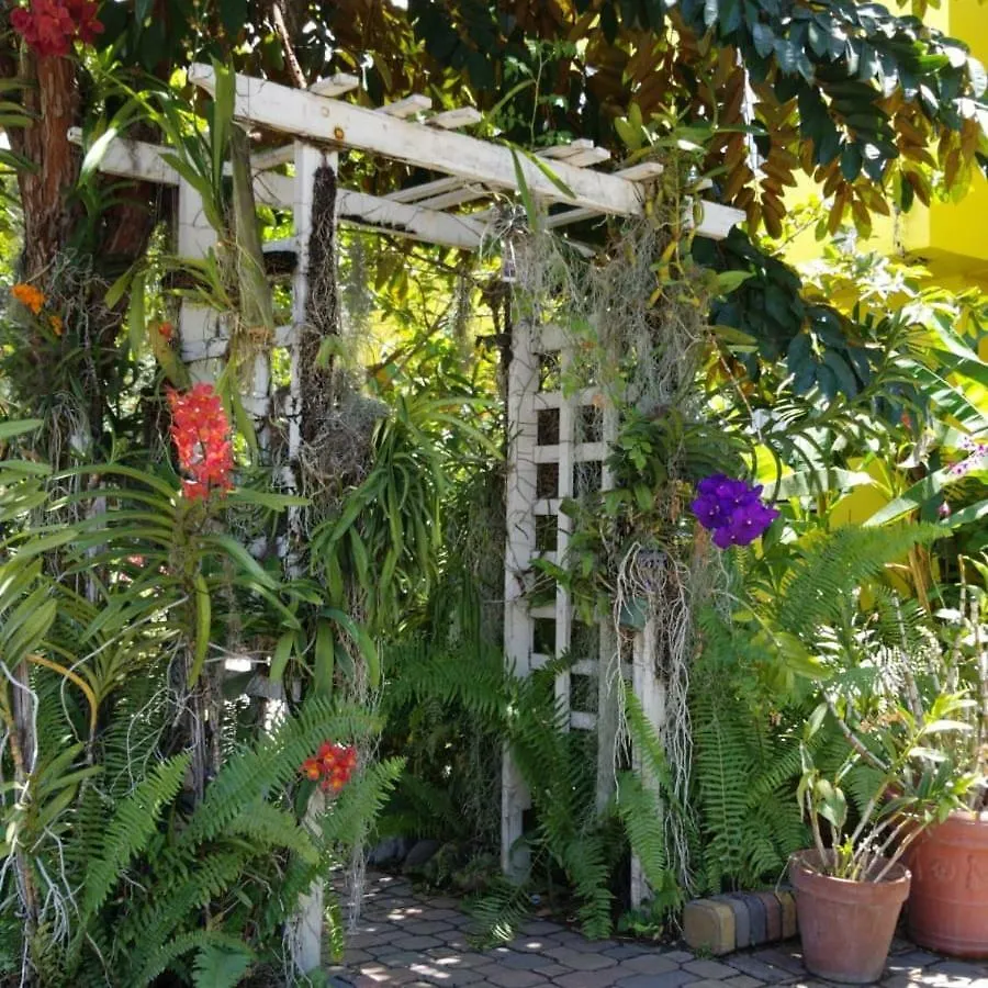 Orchid Cottage Kingston 2*,