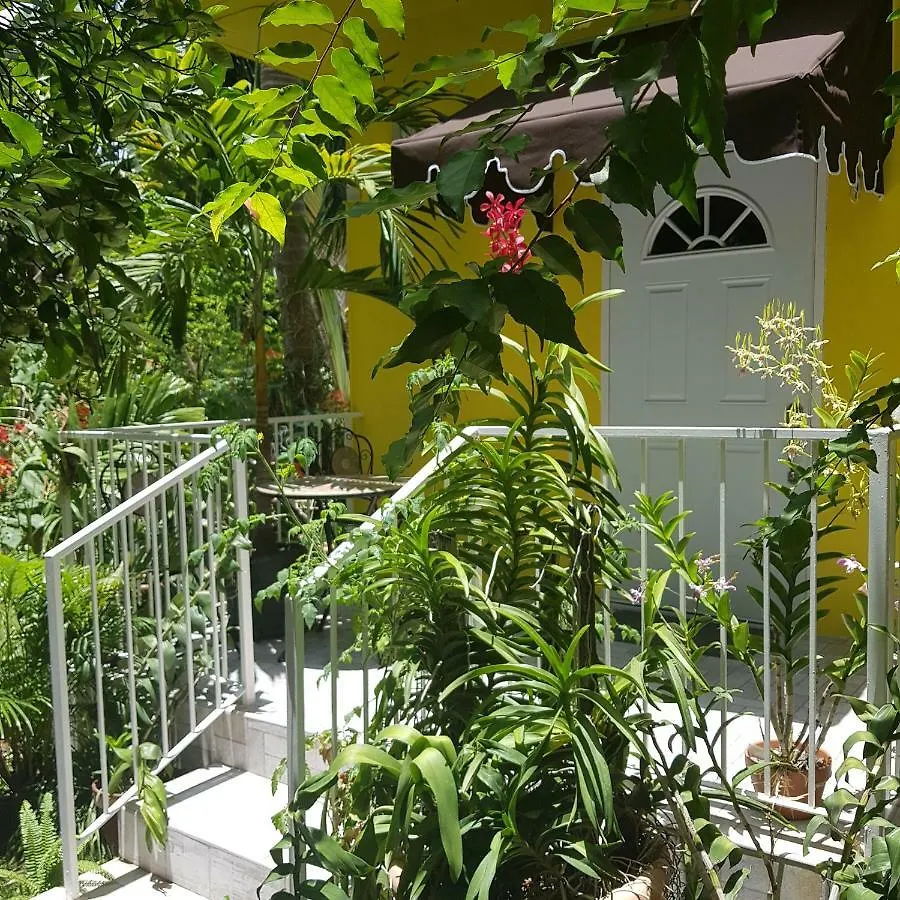 Guest house Orchid Cottage Kingston